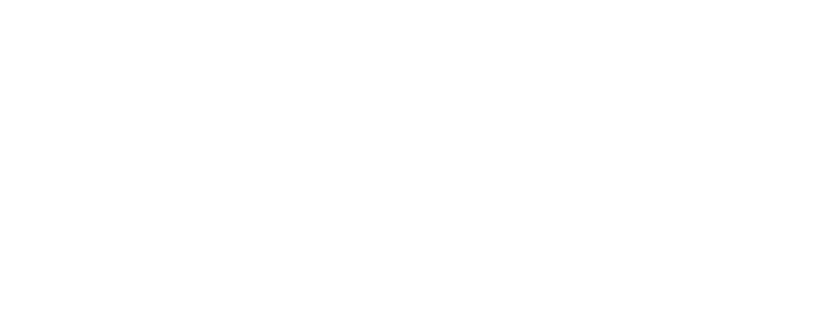 Ahlstrom_logo_NEGATIVE_RGB